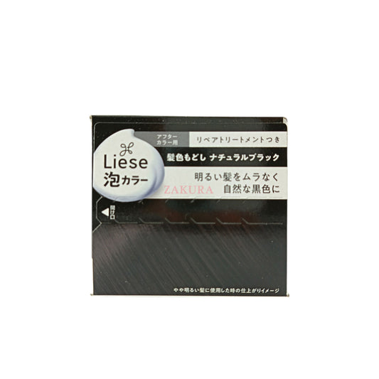 Liese Prettia Dyeing Foam 108ml (Milk Tea/Natural Brown/Natural Black)