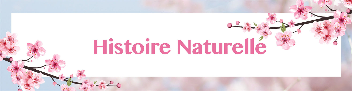 Histoire Naturelle